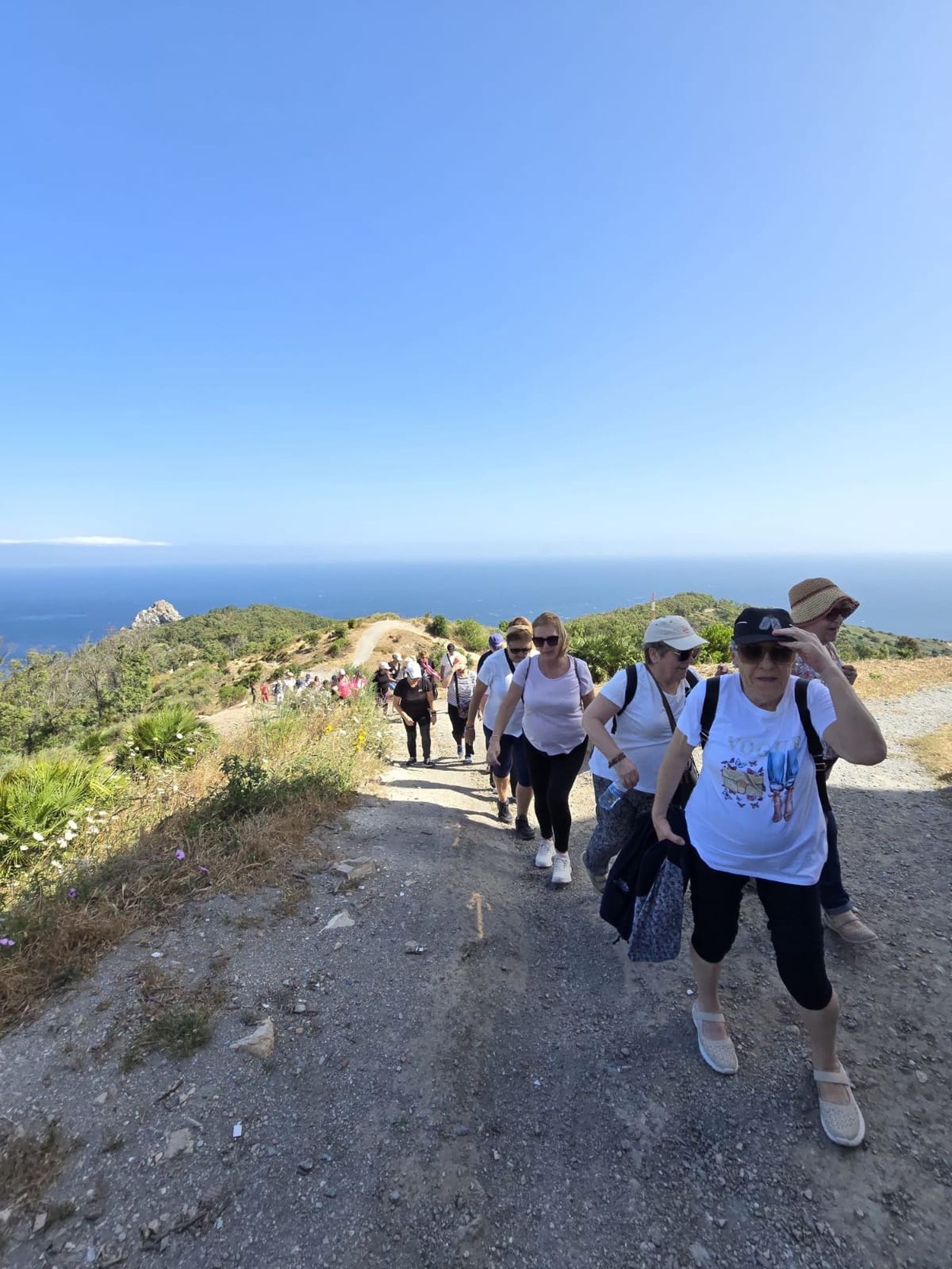 El Centro del Mayor disfruta de una jornada de convivencia en Aranguren por el Día del Medio Ambiente