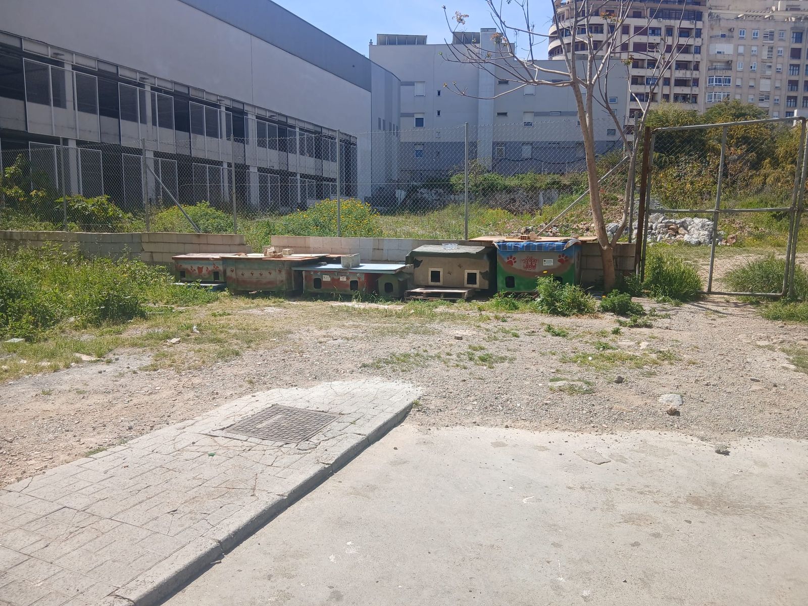 Estado en el que se encontraban las casetas de la colonia felina de la Estación del Ferrocarril antes de llenarla de chatarra