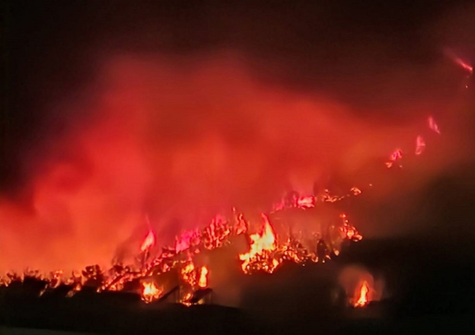 528_webfuego-3 528_webfuego-3