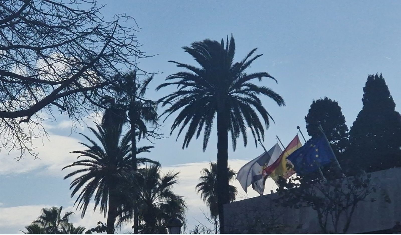 2723_screenshot_20250201_222920_gallery