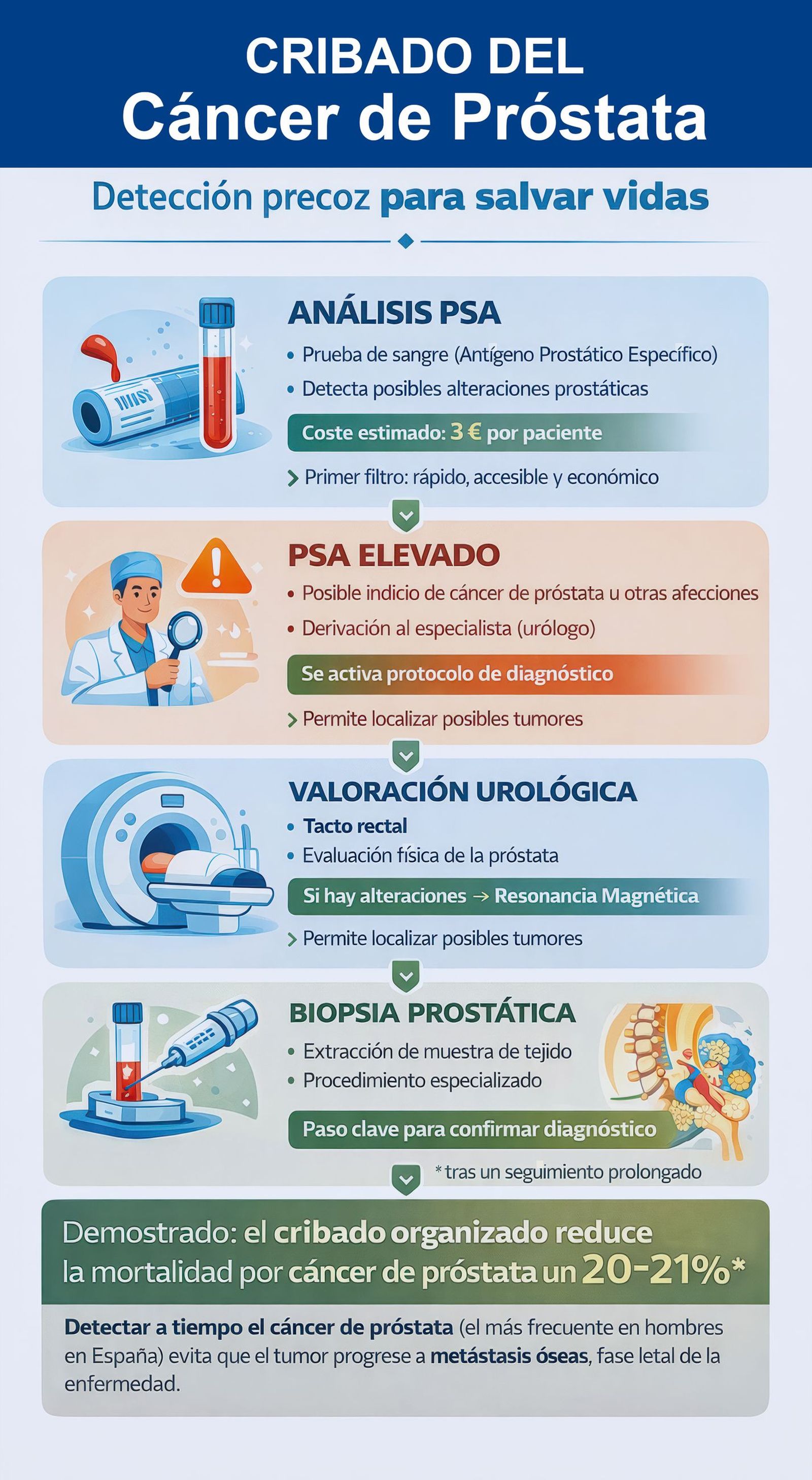 Infografía que muestra el proceso del cribado de cáncer de próstata