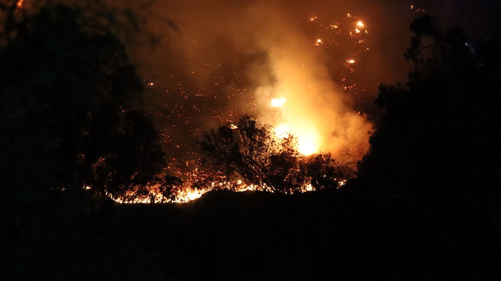 "Los árboles parecían bolas de fuego", asegura una de las vecinas "Los árboles parecían bolas de fuego", asegura una de las vecinas
