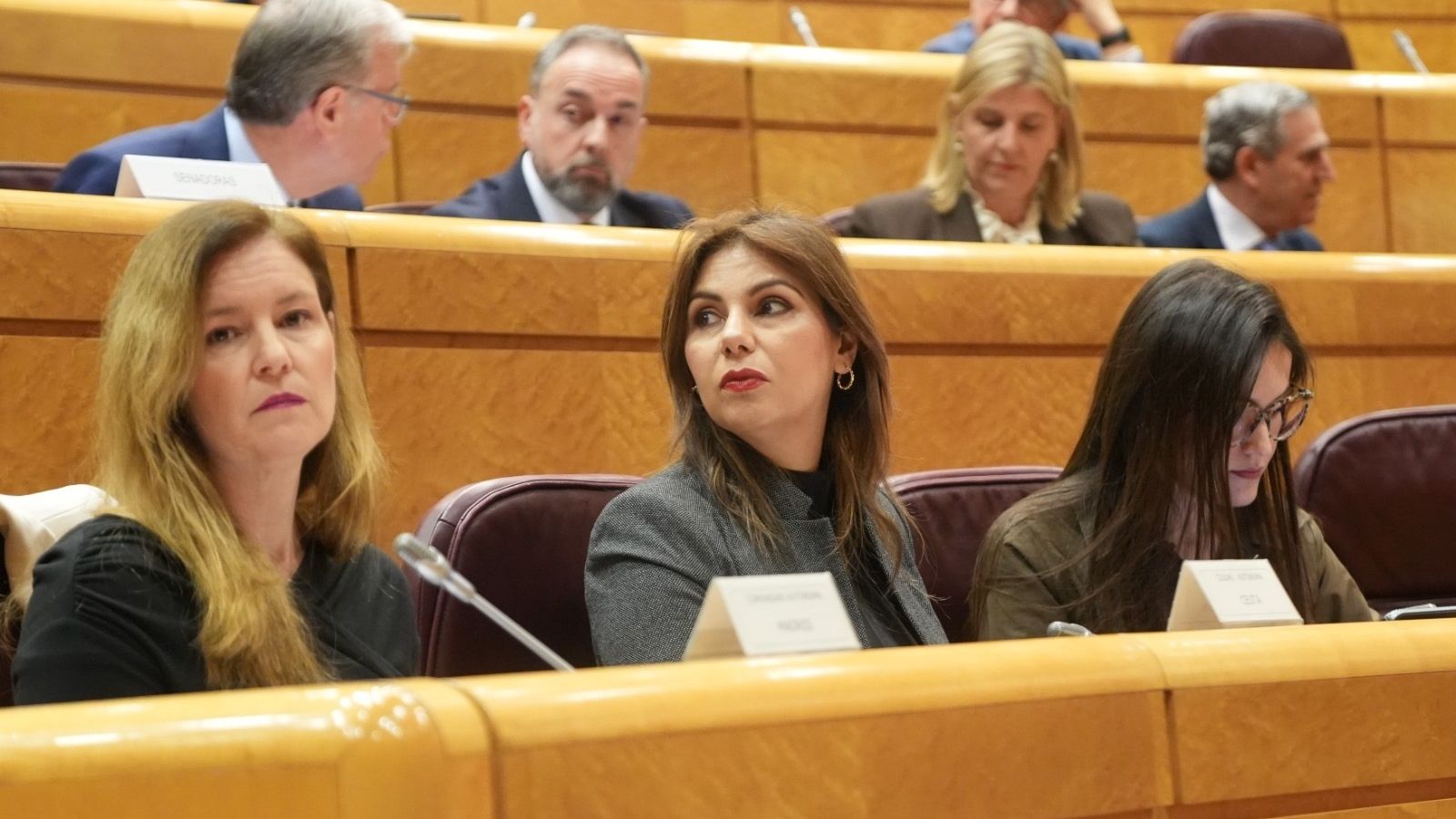 Benzina, hoy en el Senado