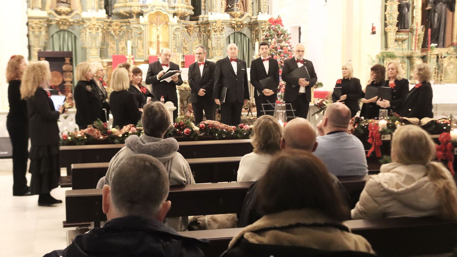 Concierto en San Francisco