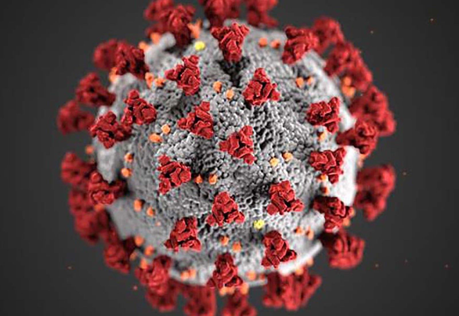 4491_coronavirus1200x600 4491_coronavirus1200x600