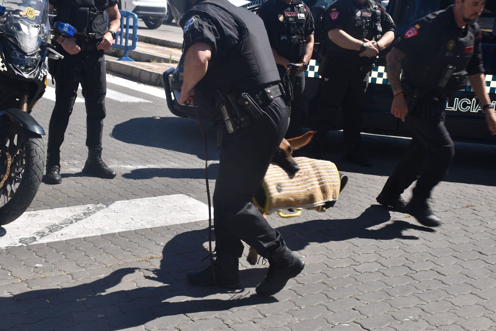 La Policía Local deslumbra a los pequeños de varios centros escolares