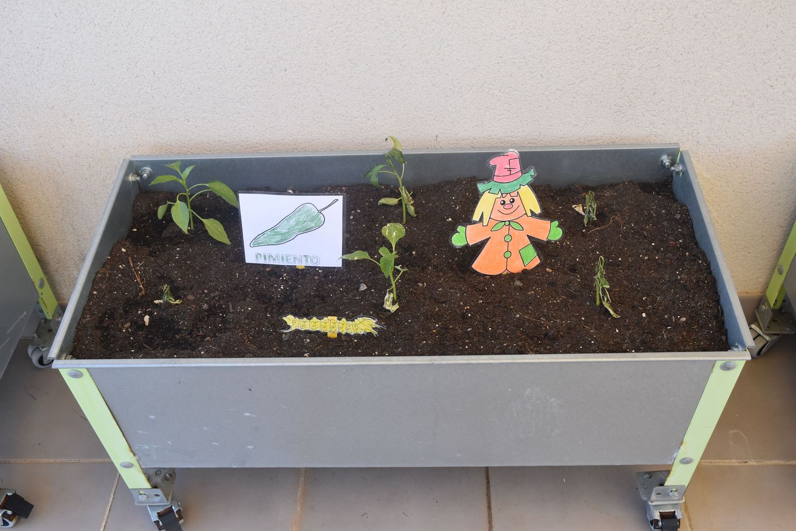 Puertas abiertas y un ambiente entrañable hacen especial una jornada en Cruz Blanca