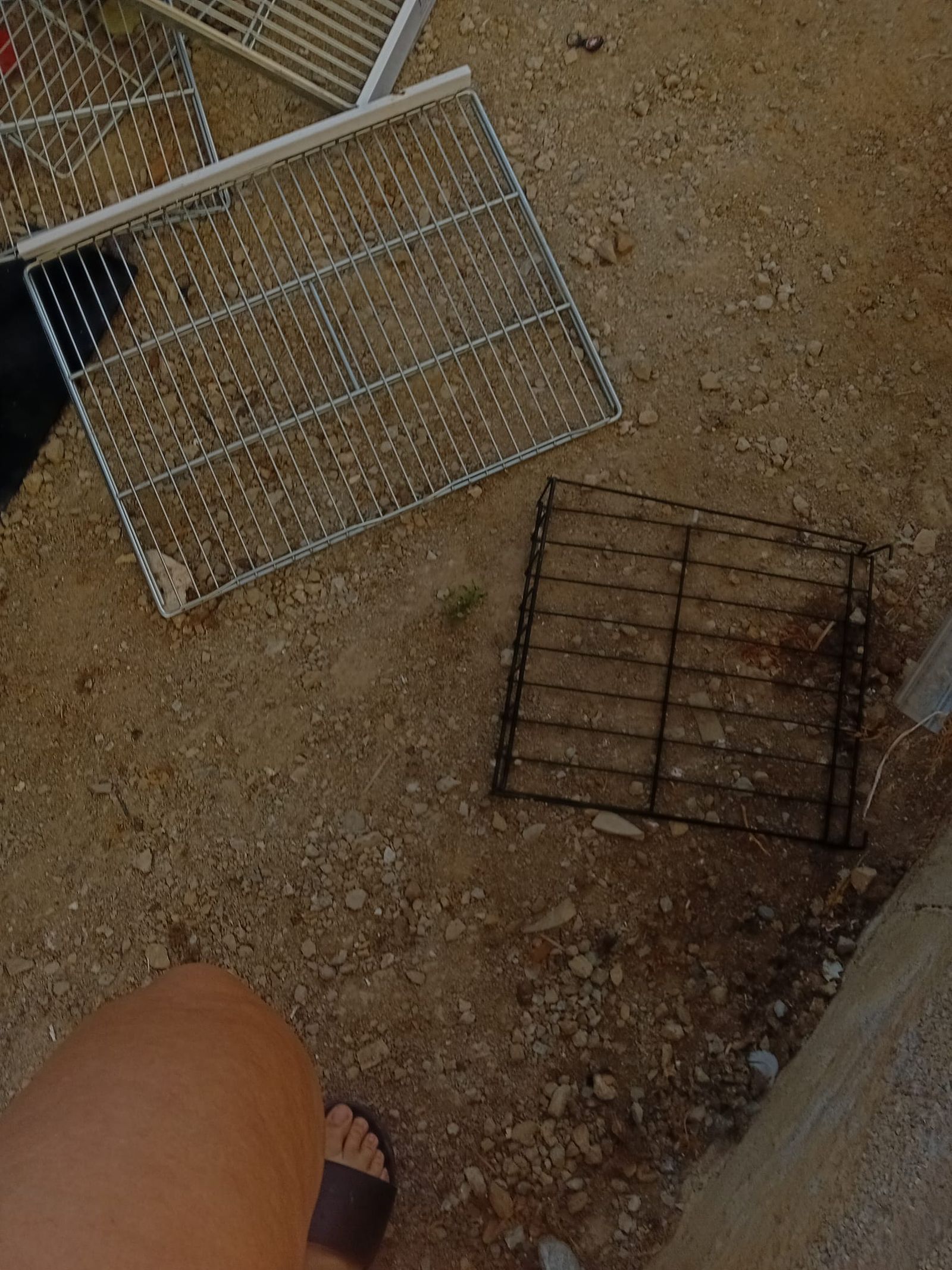 Denuncian la aparición de electrodomésticos y chatarra junto a una colonia felina de la barriada de la Estación