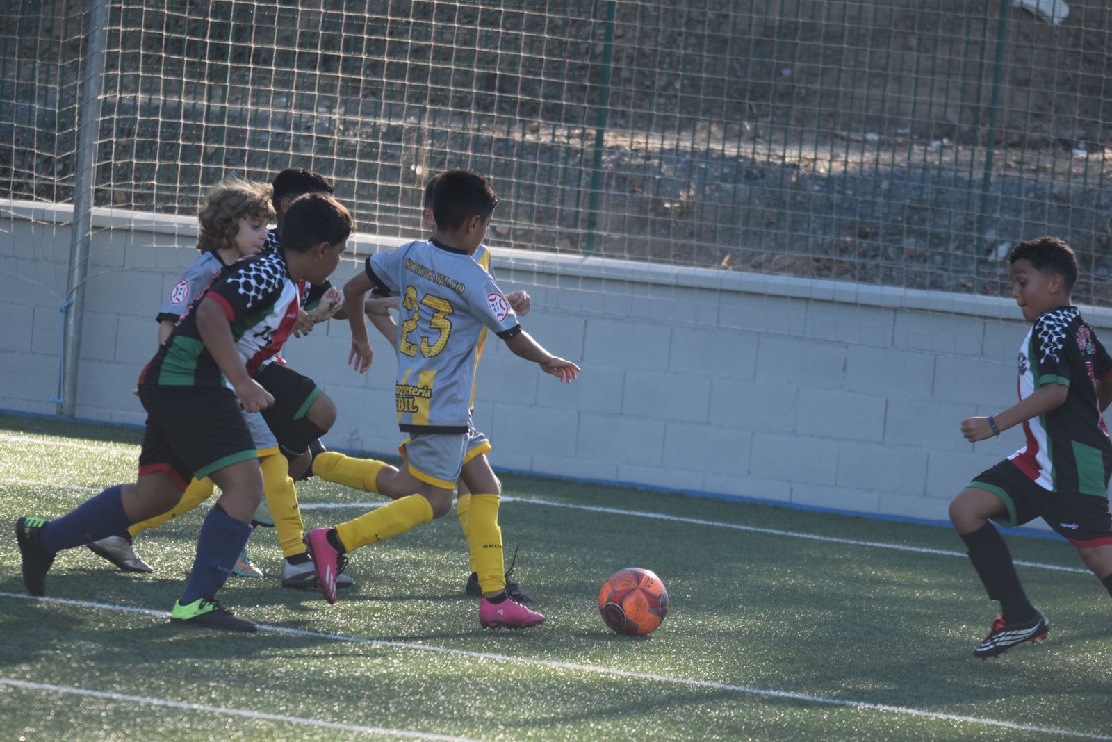 Liga Benjamín