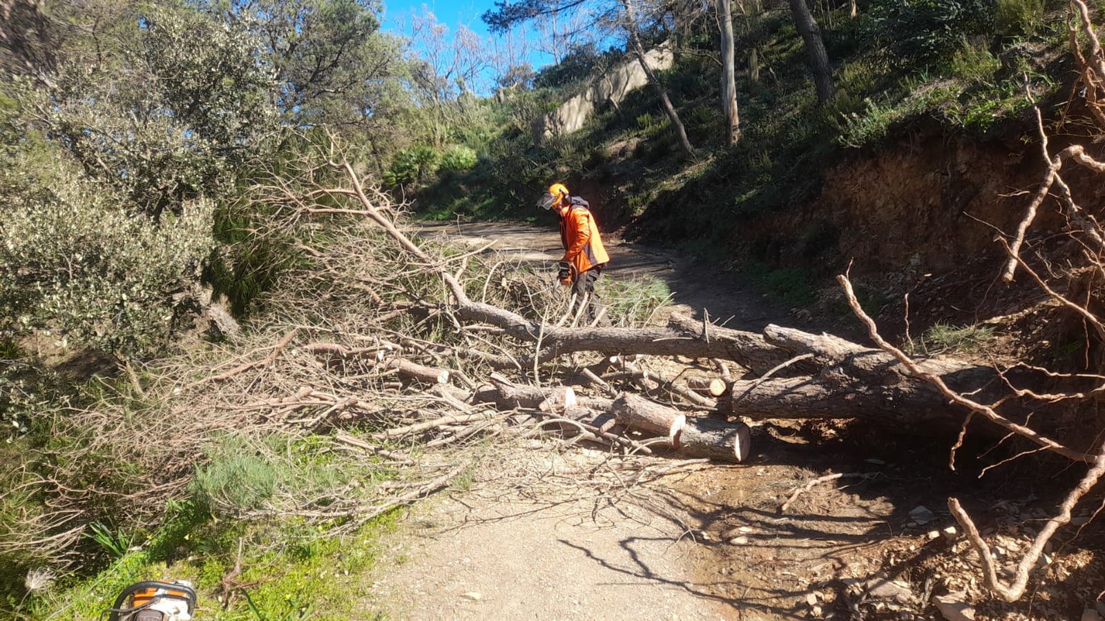 Los operarios que trabajaron en el dispositivo, en plena acción