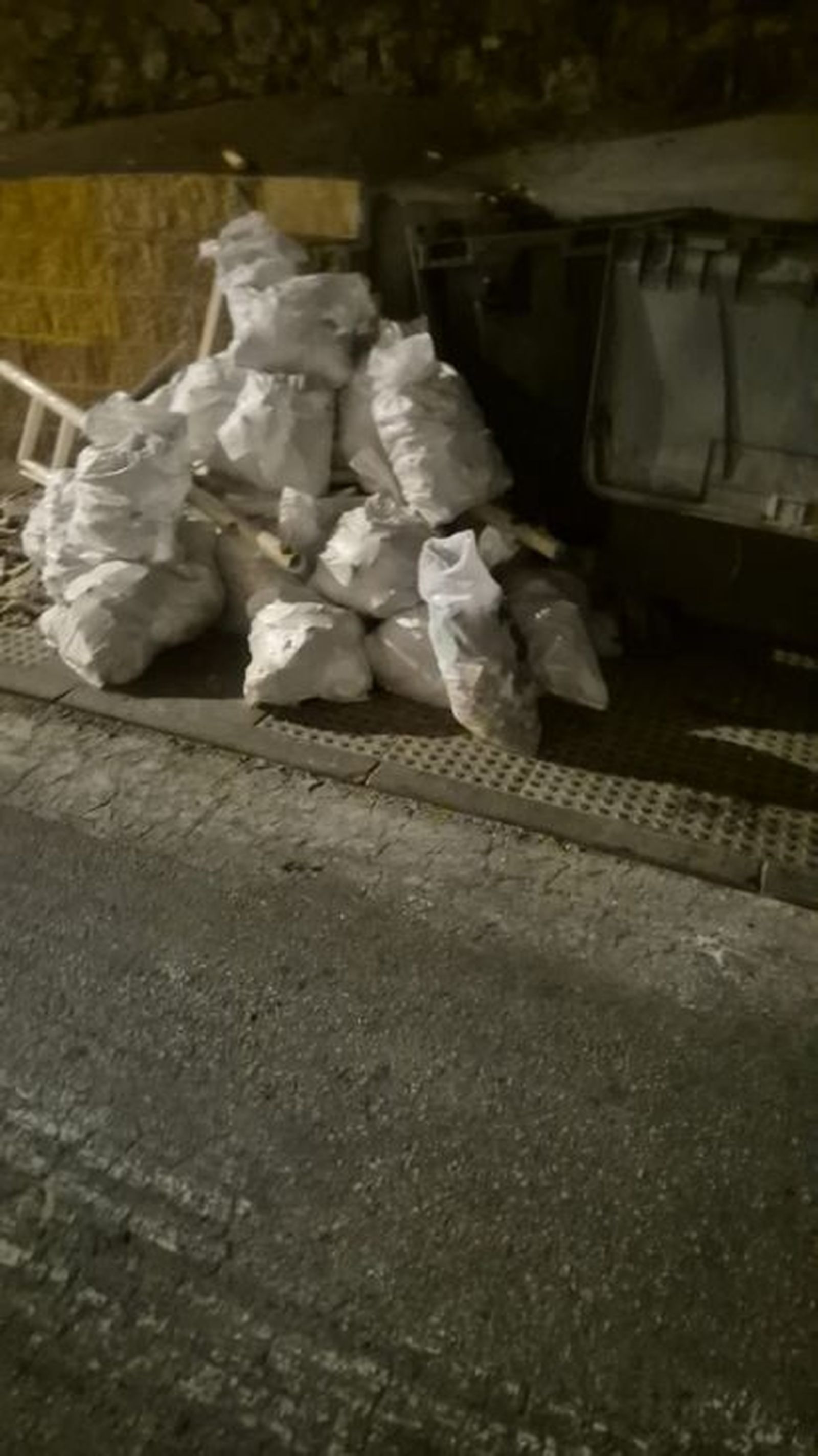 FOTO CEDIDA