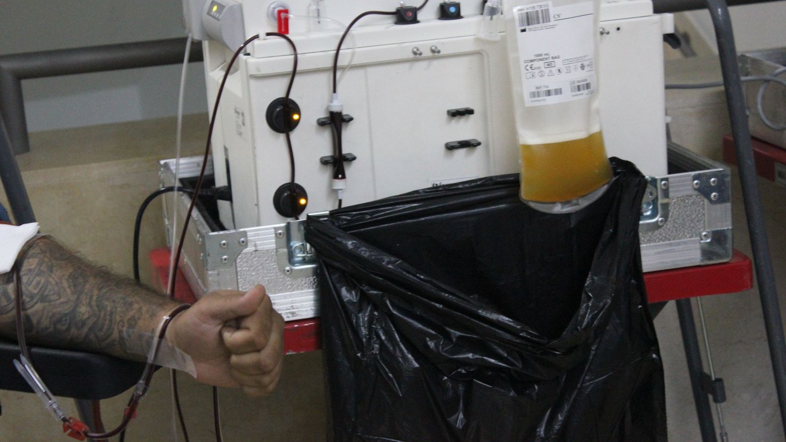 La campaña de donación de sangre busca nuevos voluntarios estos días en el Revellín