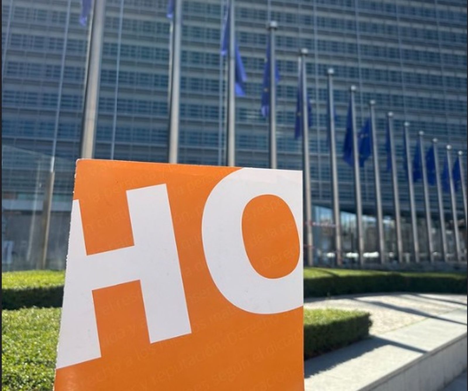 HazteOír y CitizenGO, frente al Parlamento Europeo