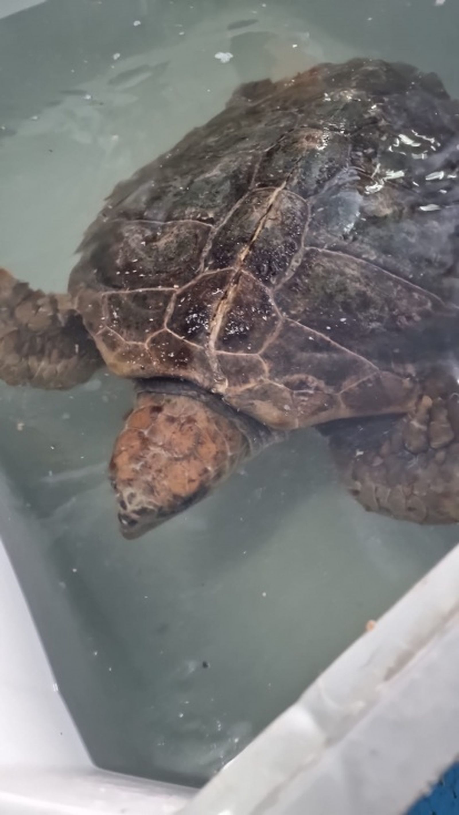 FOTO CECAM FOTO CECAM