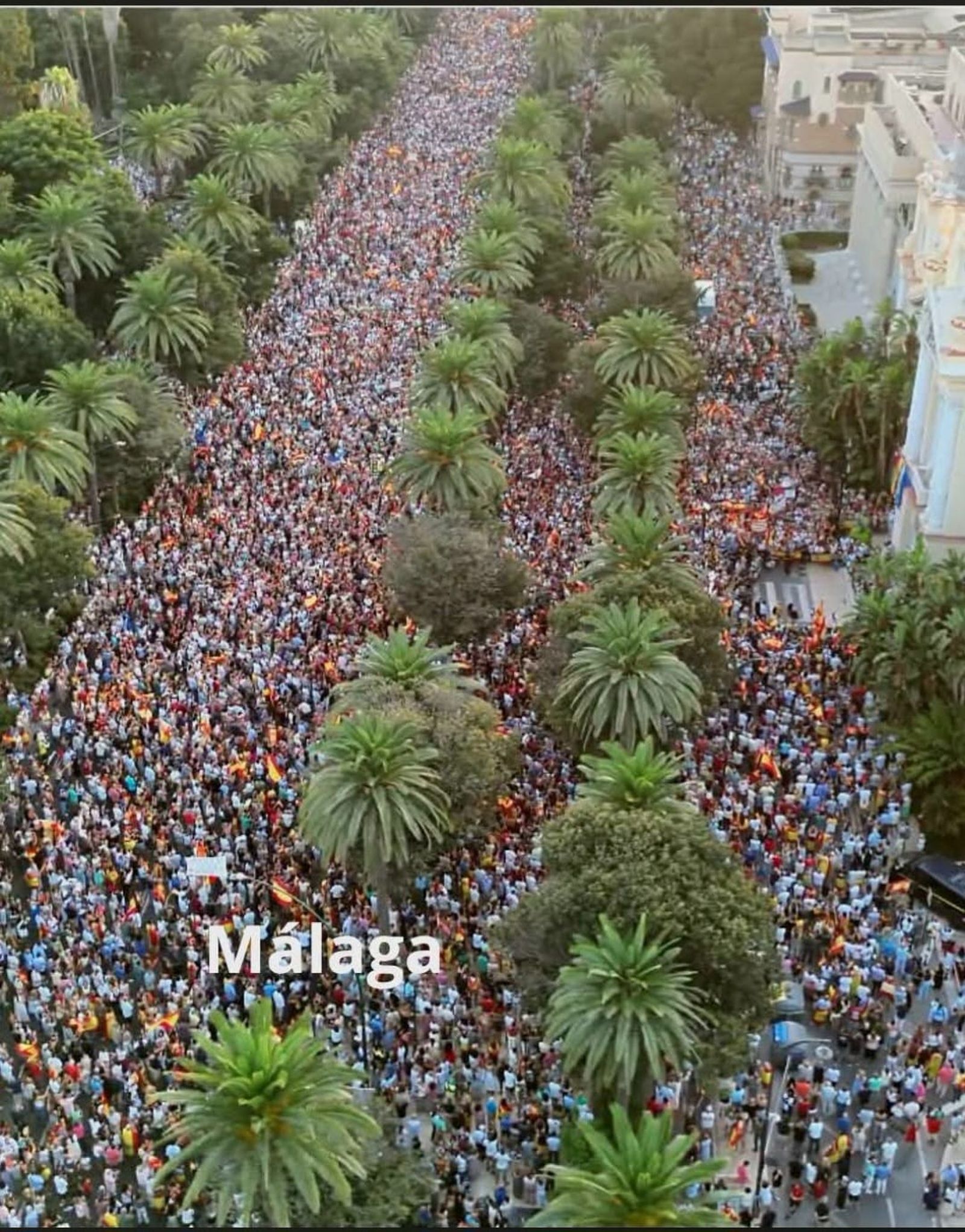 España se pone en pie por Ceuta y convierte el Día de la Ciudad en una gran muestra nacional de solidaridad