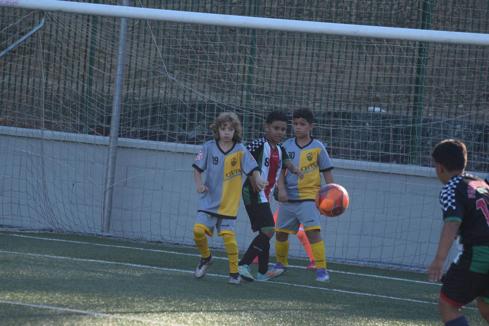 Liga Benjamín
