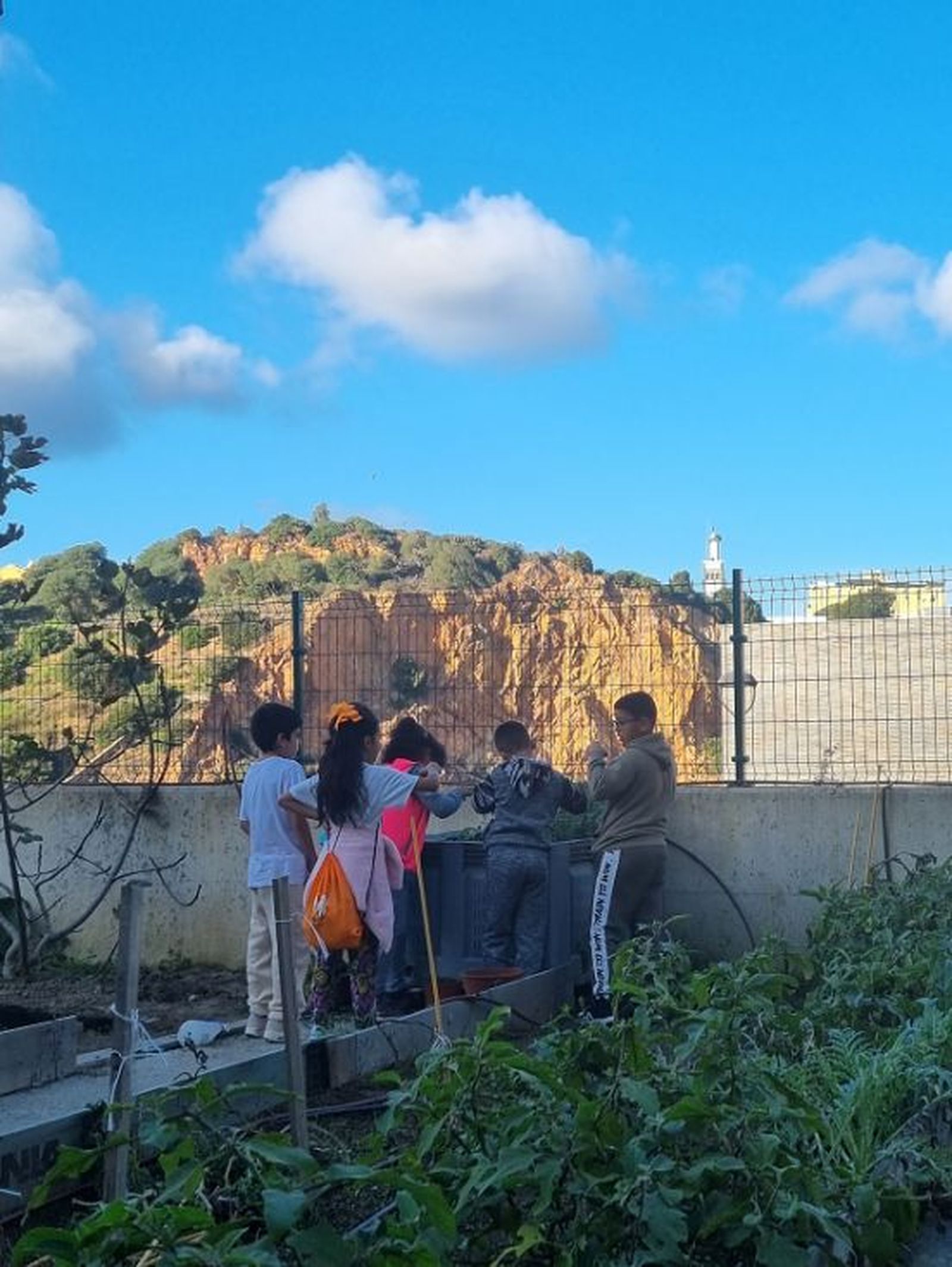 FOTO CEDIDA