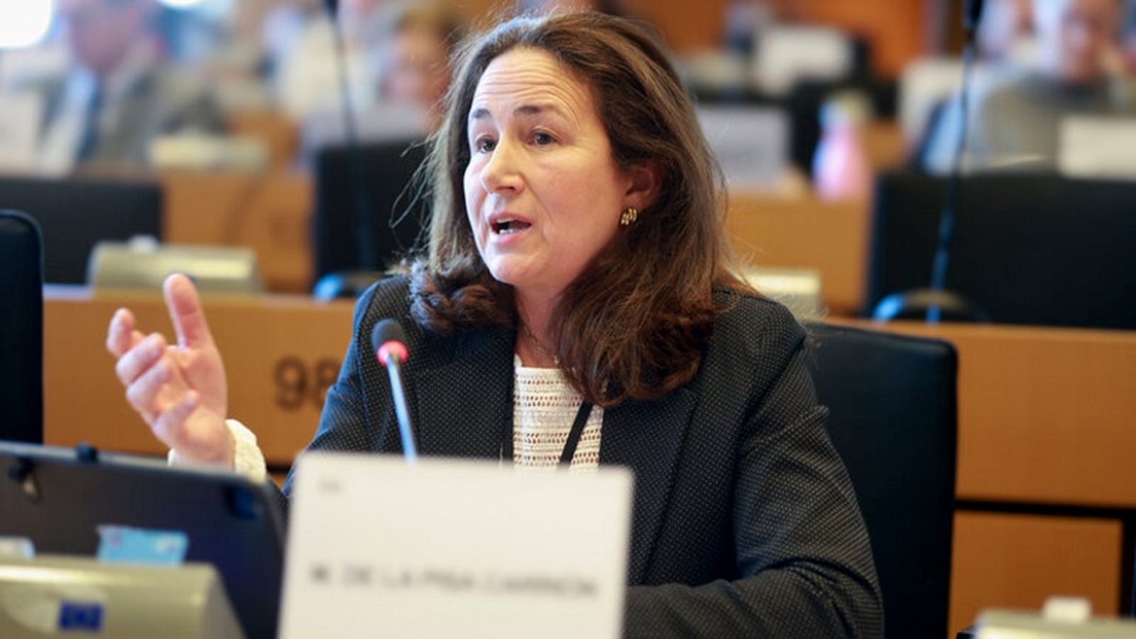 Margarita de la Pisa en el Parlamento Europeo. / FOTO CEDIDA