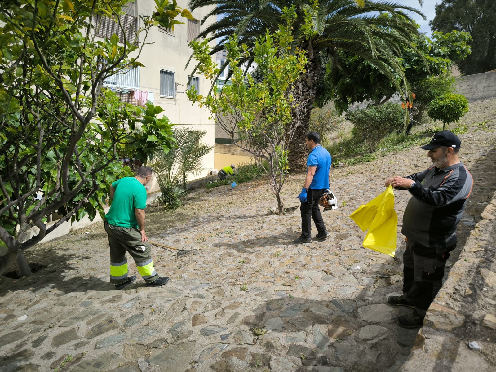 La Ciudad actúa tras las denuncias vecinales y limpia la vaguada de Miramar Alto