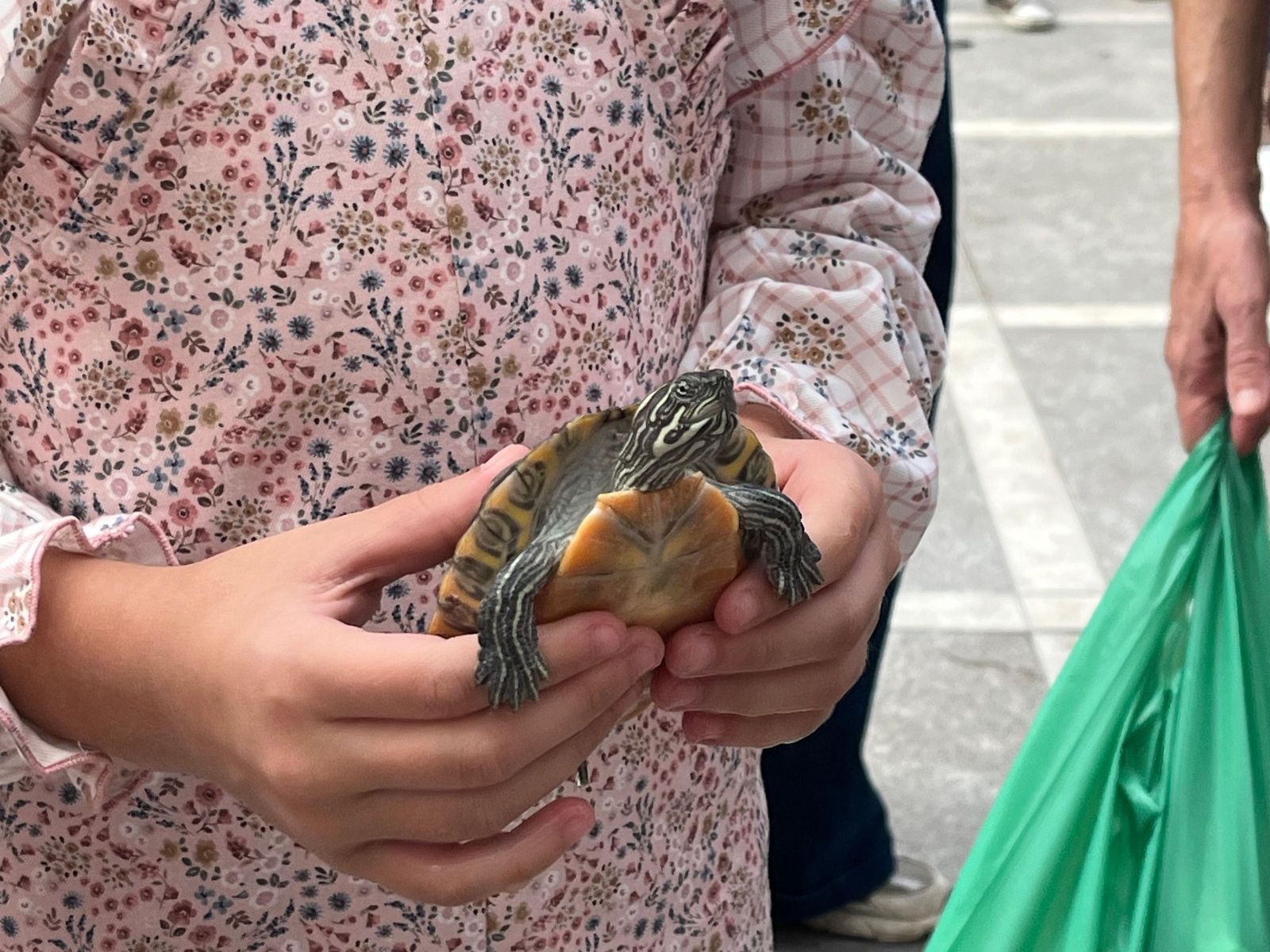 El vicario bendice a los animales de Ceuta por San Daniel