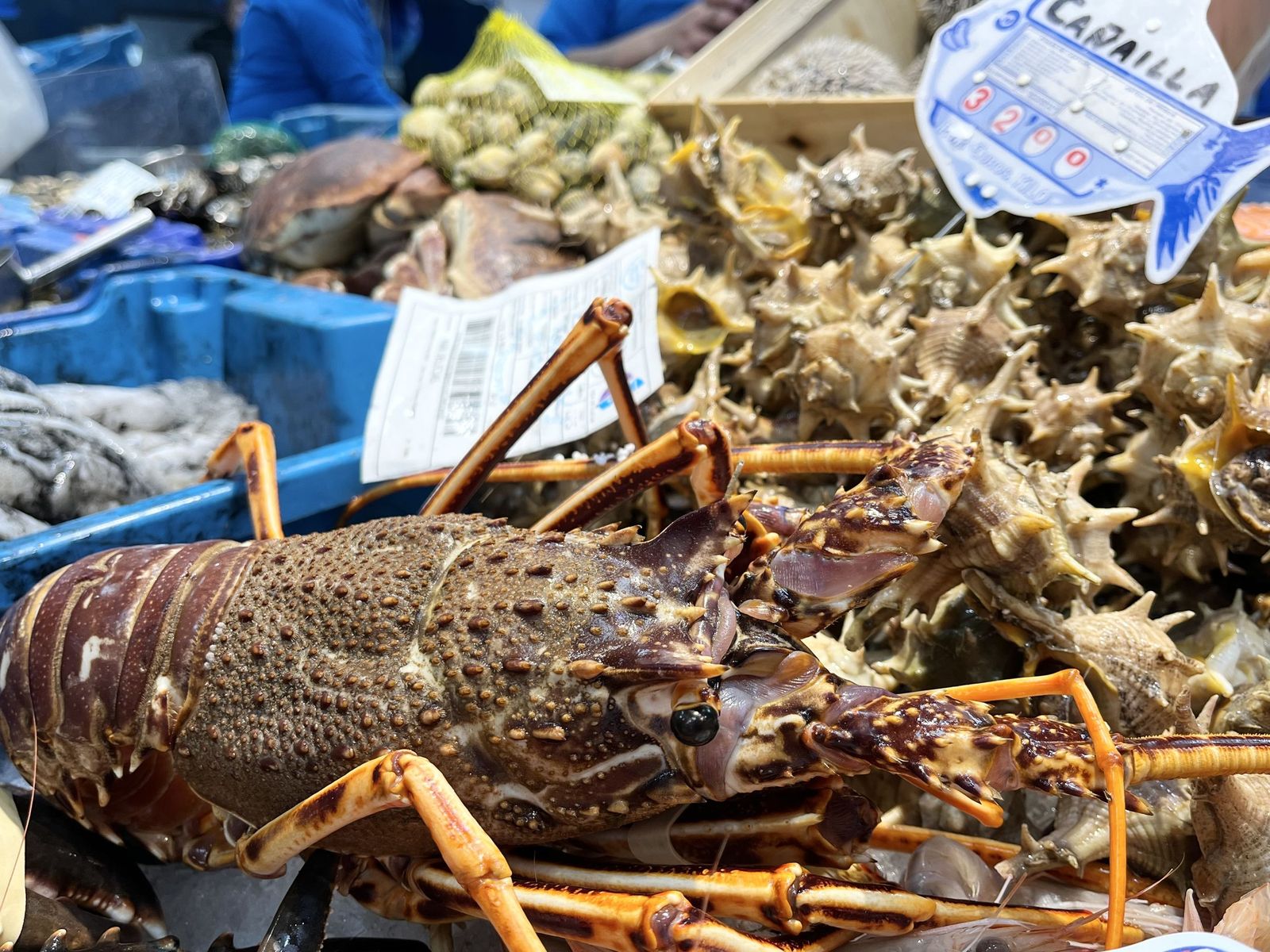 Imágenes de la pescadería de Younes en el Mercado Central.