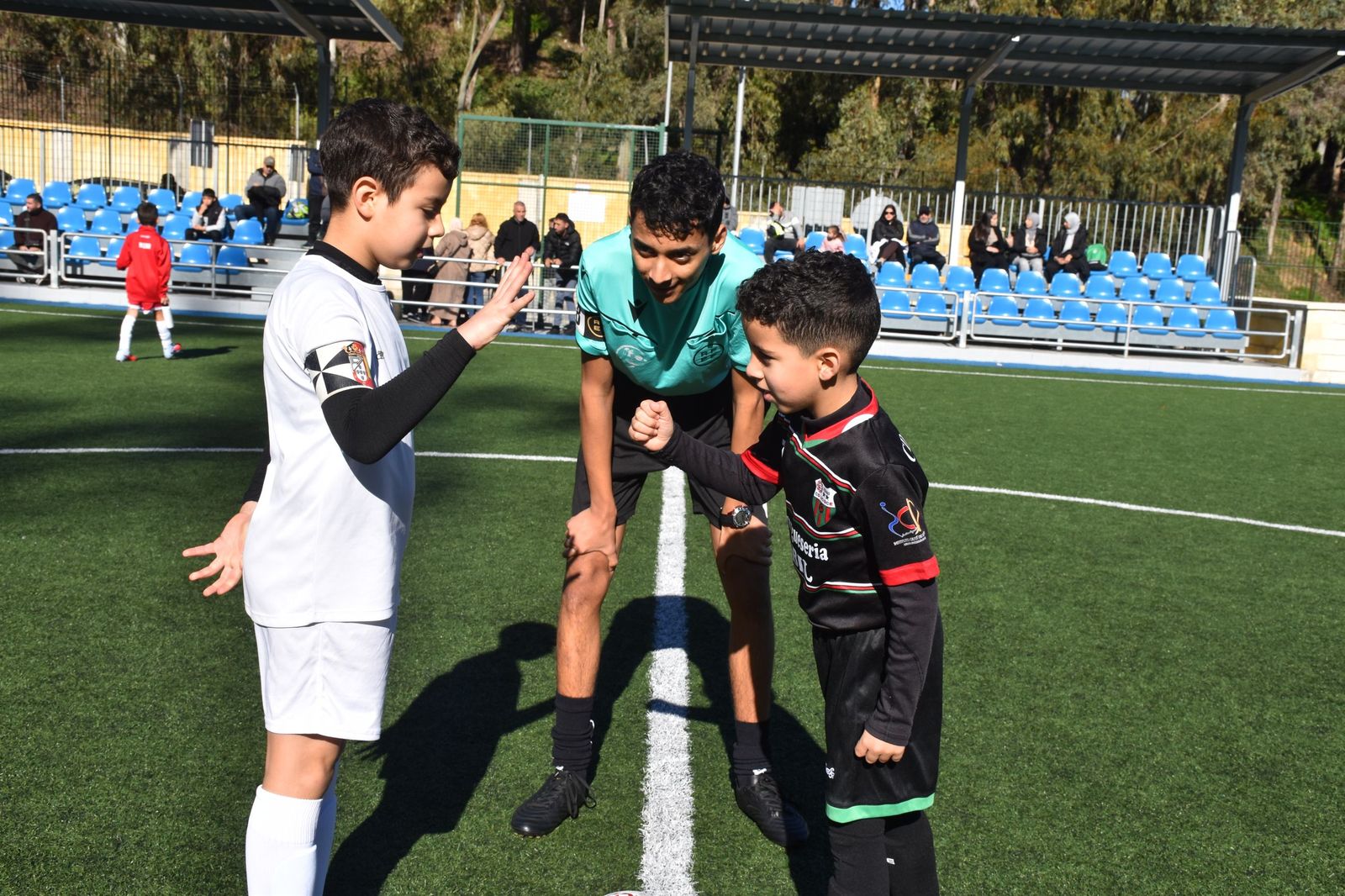 Cinco equipos lideran