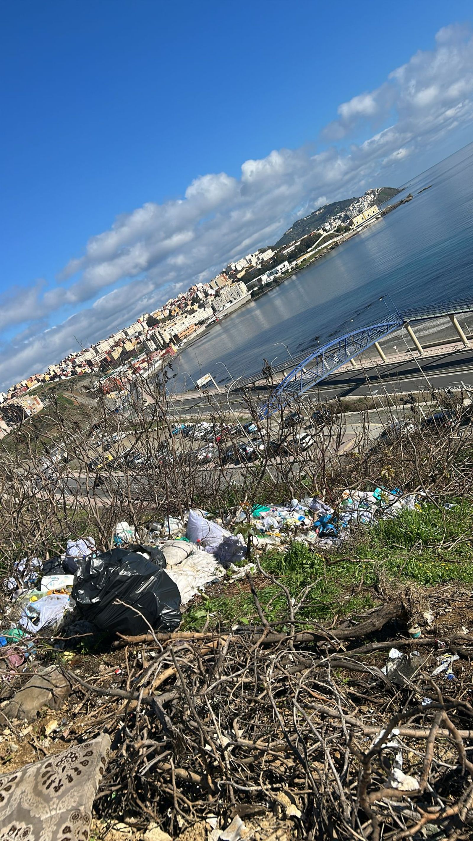 Las Brigadas Verticales limpian residuos en la barriada del Príncipe Felipe.