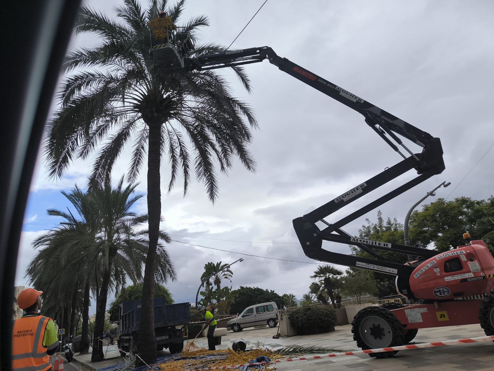 Operarios recogiendo ramas de una palmera hace unos días