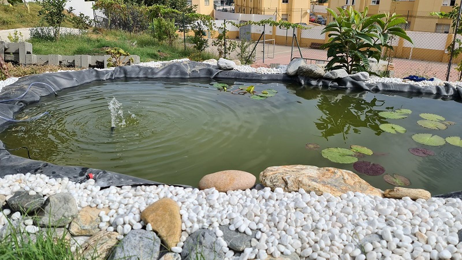 2689_20210821_113254web