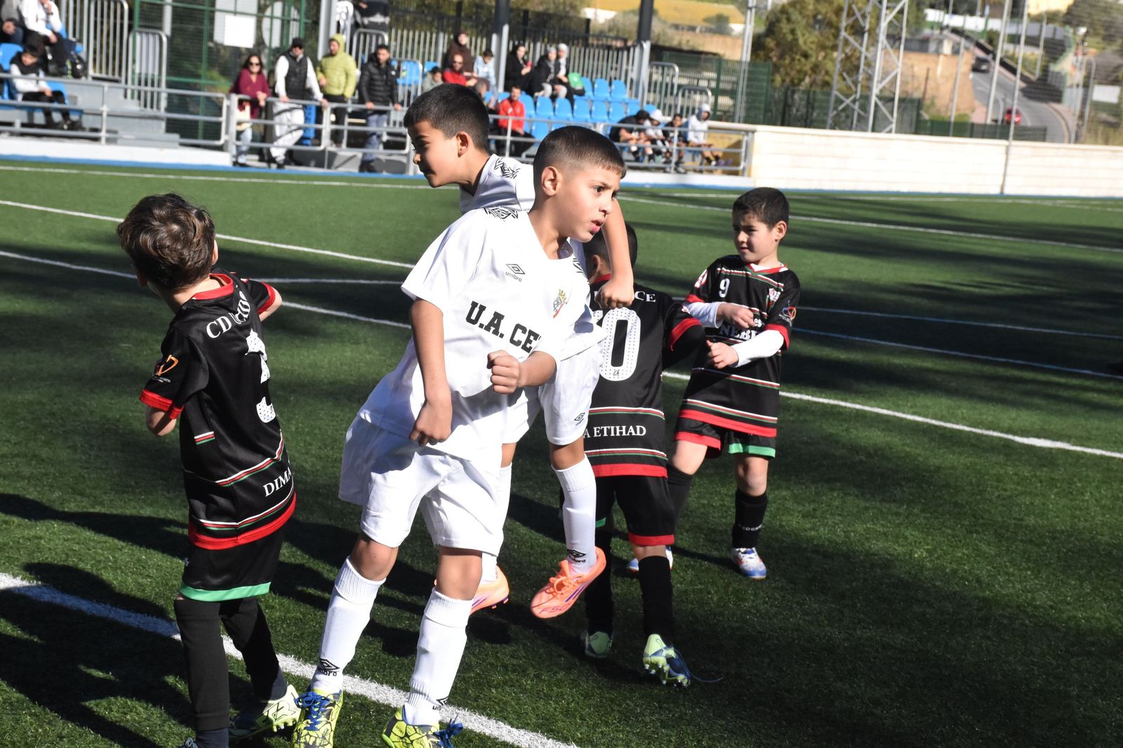 Cinco equipos lideran