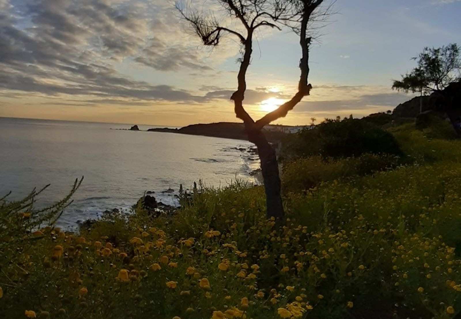 La foto ganadora del concurso.