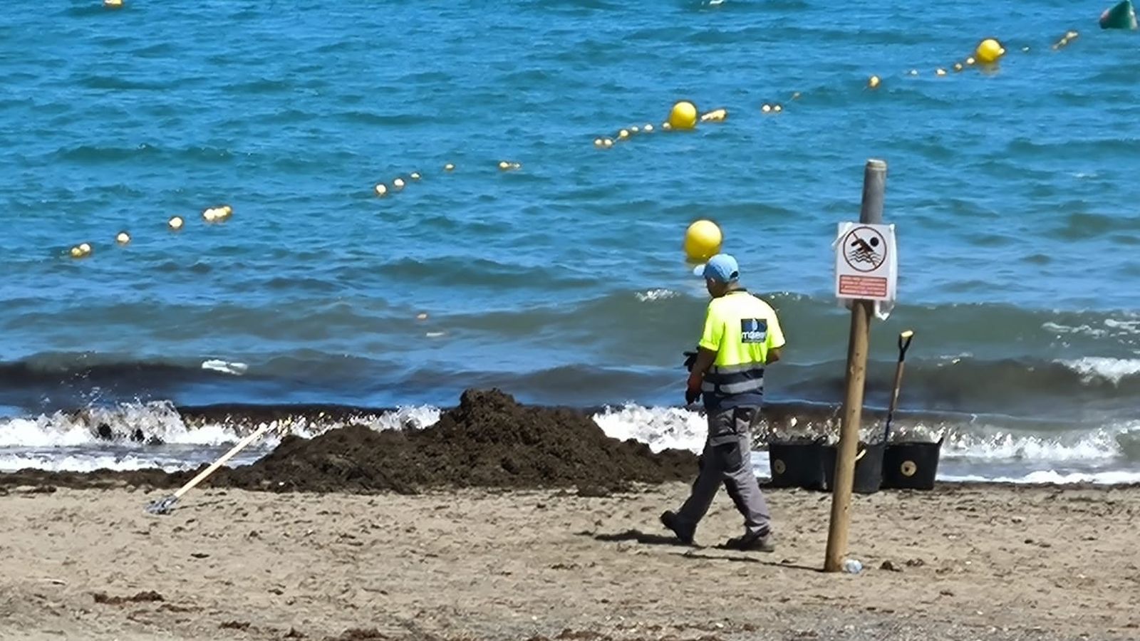 La retirada de las algas se realiza de forma manual para evitar daños en las playas, mientras el material continúa acumulándose en vertederos