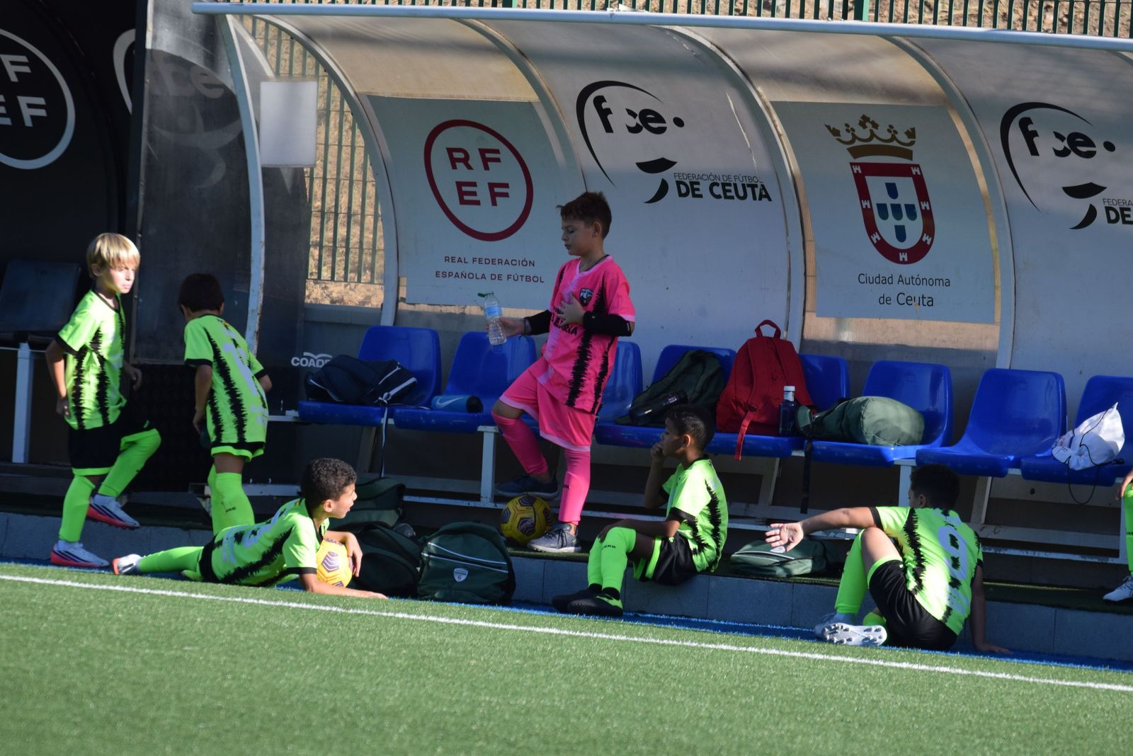 Liga Benjamín