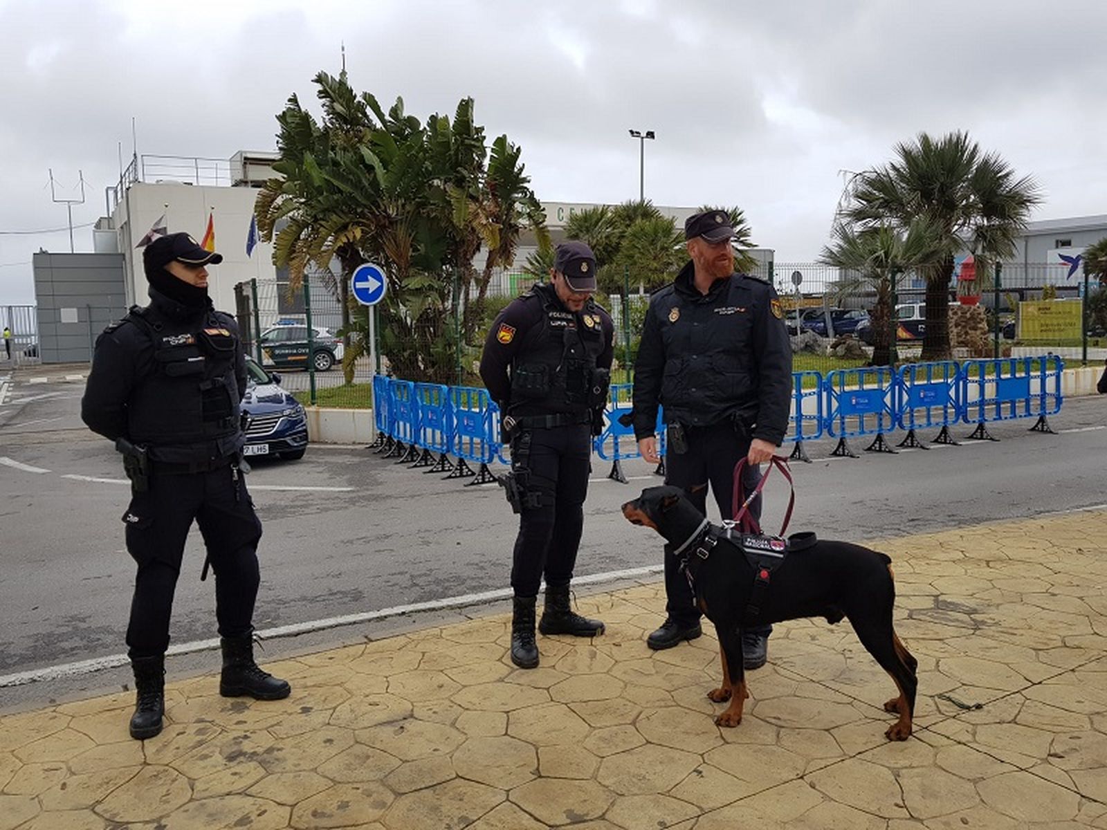 2705_visita-sanchez-5