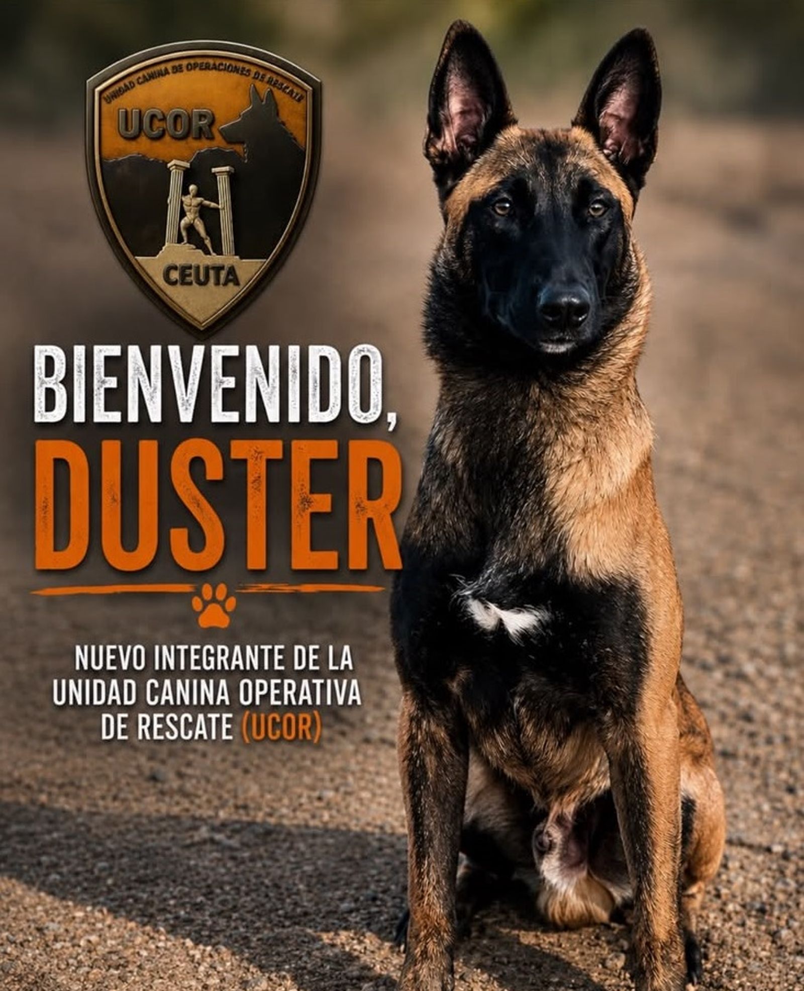 UCOR incorpora a Duster, un cachorro de Pastor Belga Malinois, a su Unidad Canina de Rescate