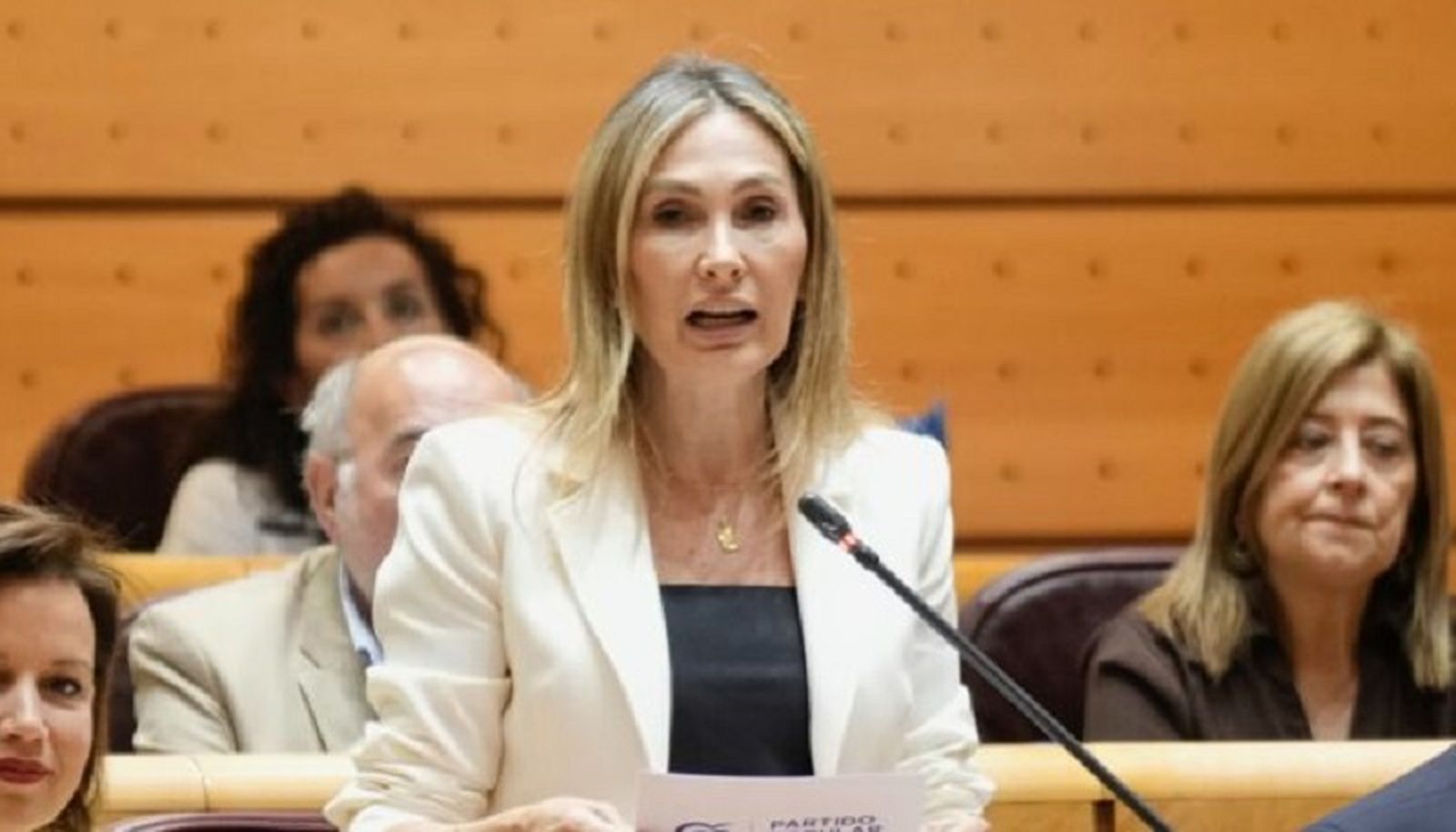 Cristina Díaz, senadora de Ceuta por el Partido Popular, durante una intervención en la Cámara Alta