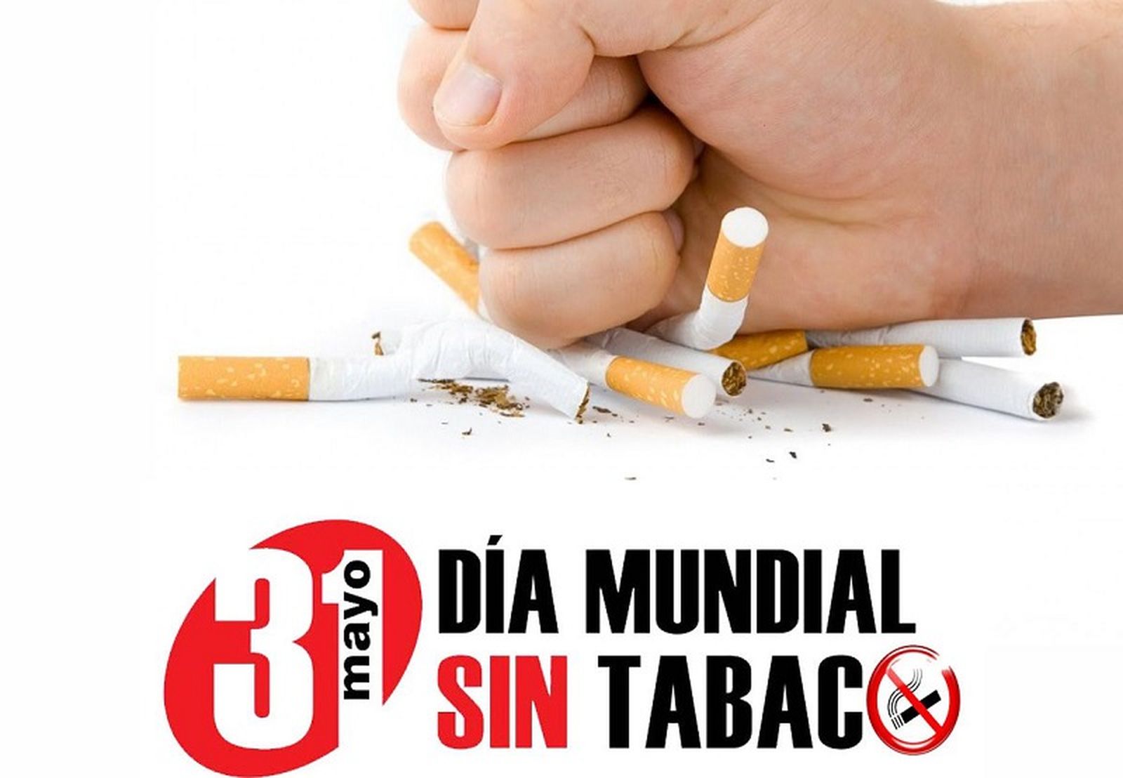 3435_diamundialsintabaco-7njel2iic320