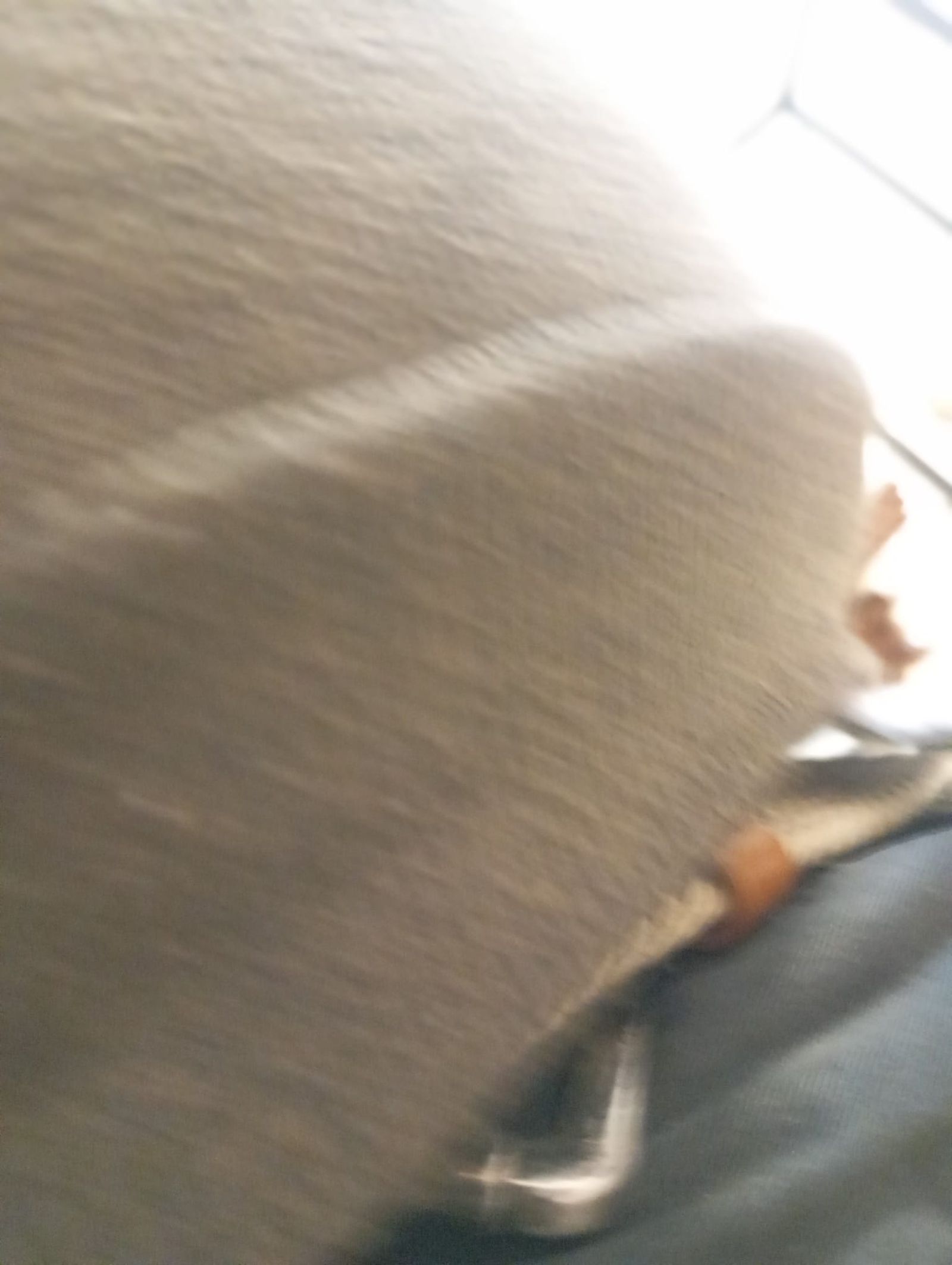 Los Bomberos honran a su Patrón en Villajovita