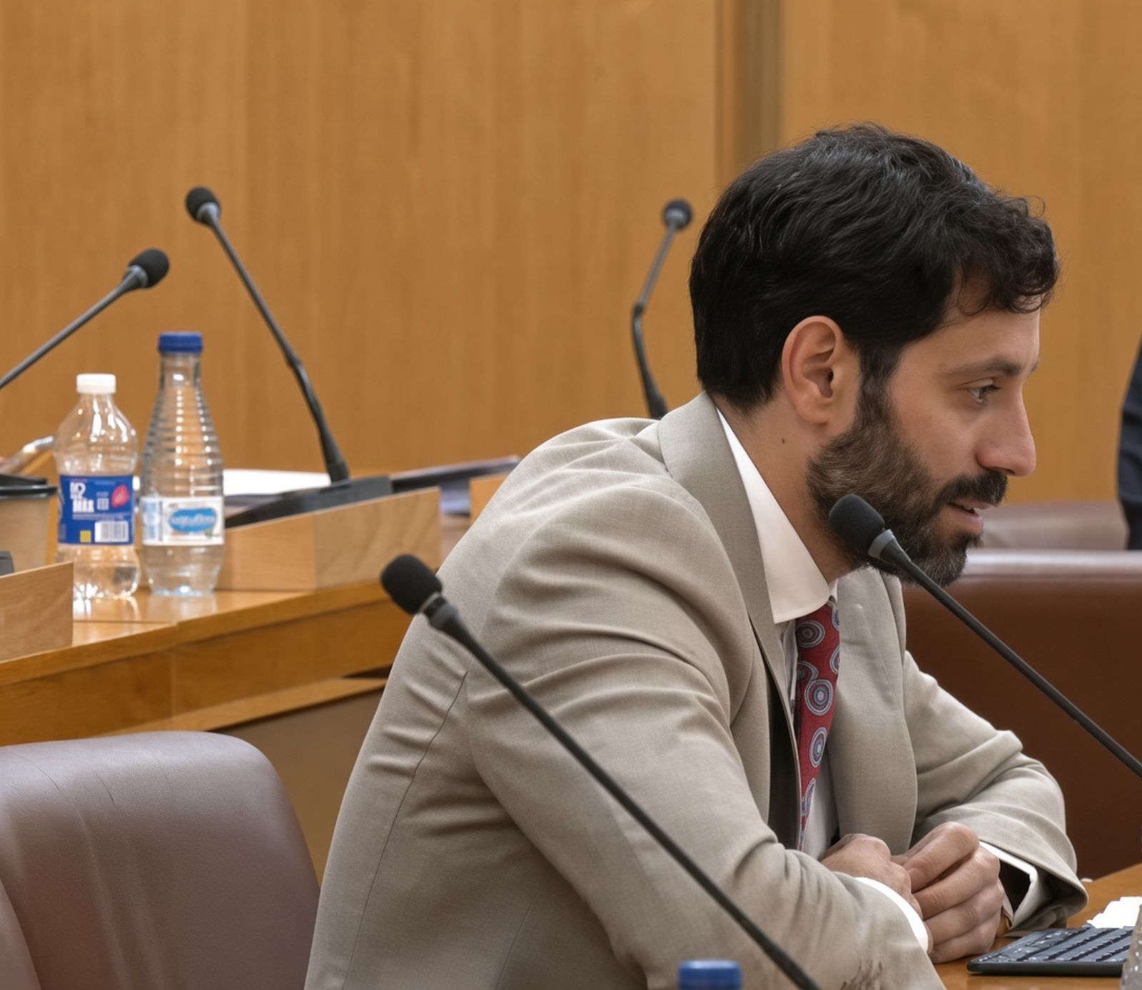 Martínez-Peñalver, durante el pleno