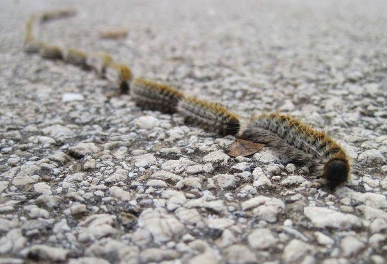 4939_felconfidencialcom_original_ea4_d0e_1af_ea4d0e1afe1c7b024e65d12f1511363f