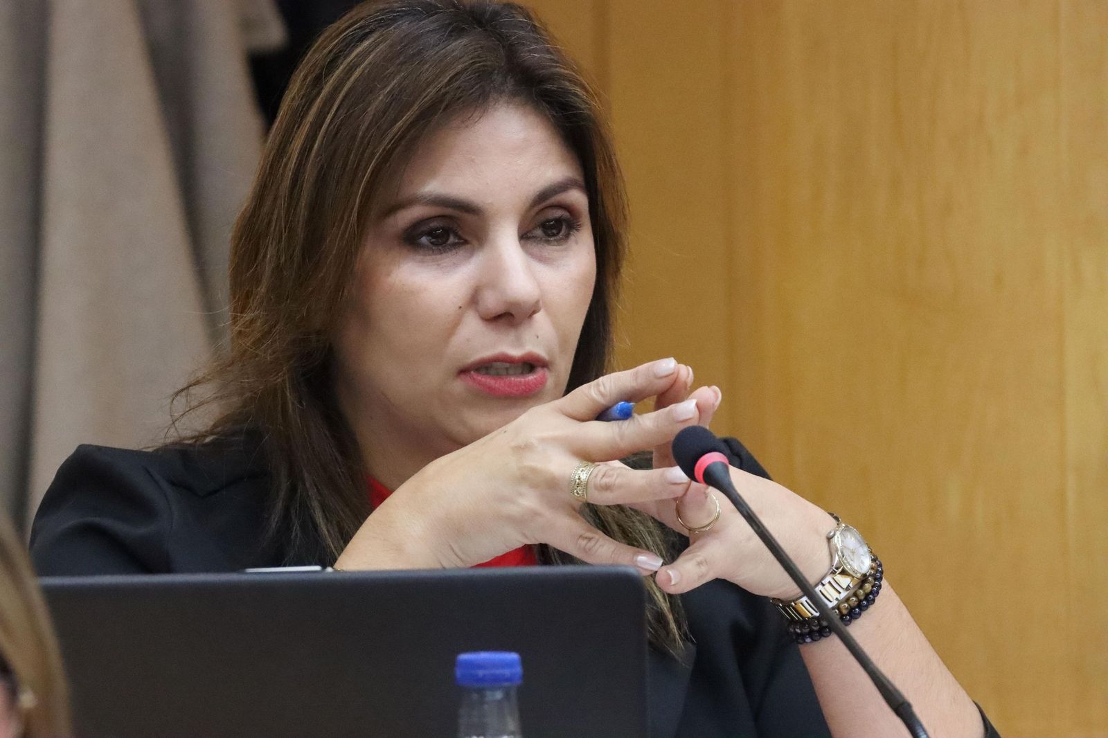 Benzina durante el pleno