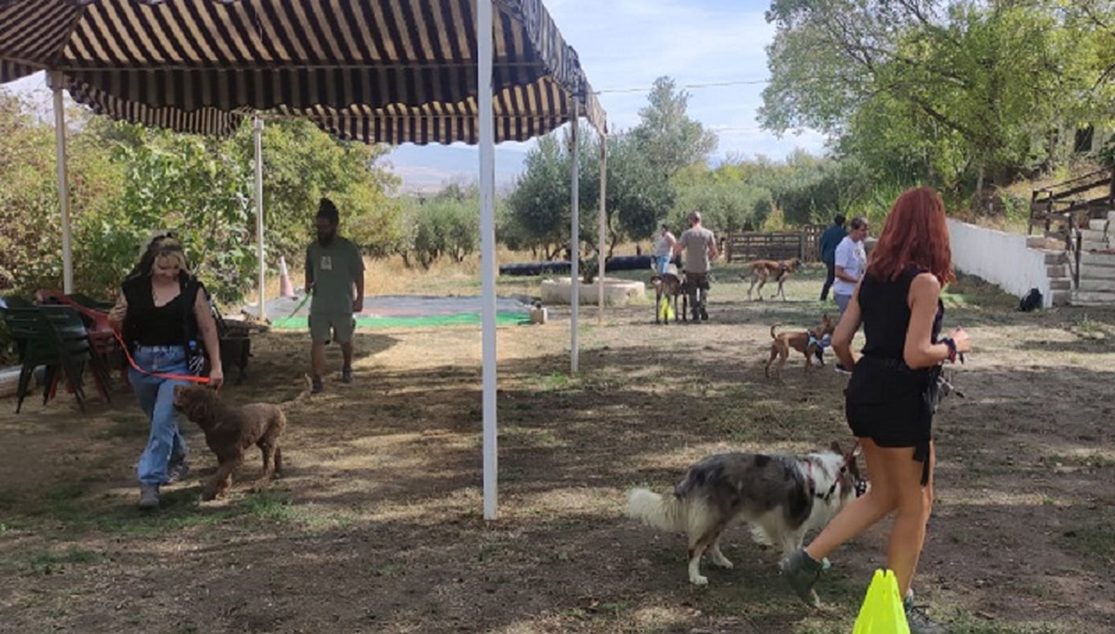 FOTO ÁBREGO FOTO ÁBREGO