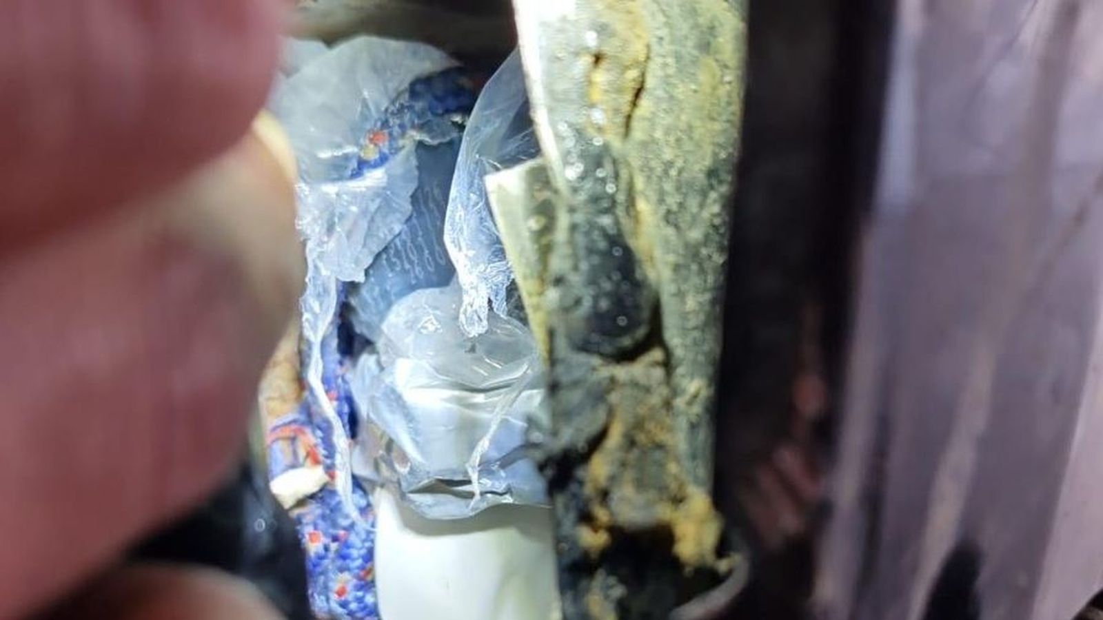 Imagen del escondite por el que pretendían pasar la droga