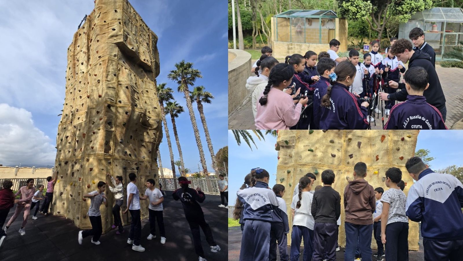 La jornada, que ha tenido lugar esta mañana en el Parque de San Amaro, ha contado con la participación de 45 alumnas y alumnos de los colegios C.C. Severo Ochoa y CEIP Rosalía de Castro