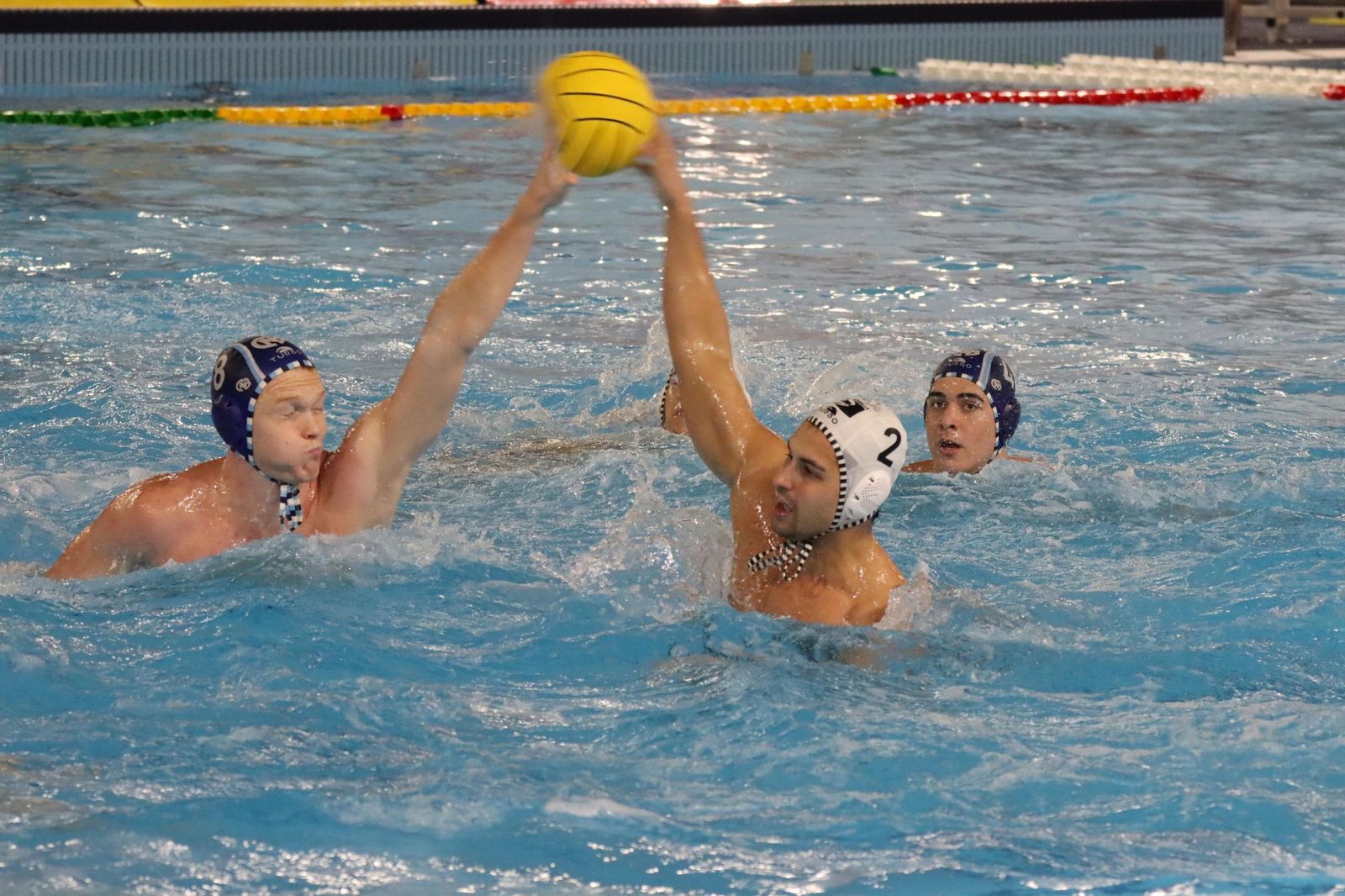 Waterpolo