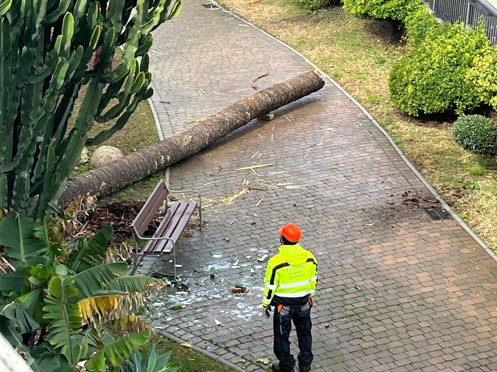 Imagen de las consecuencias del temporal.
