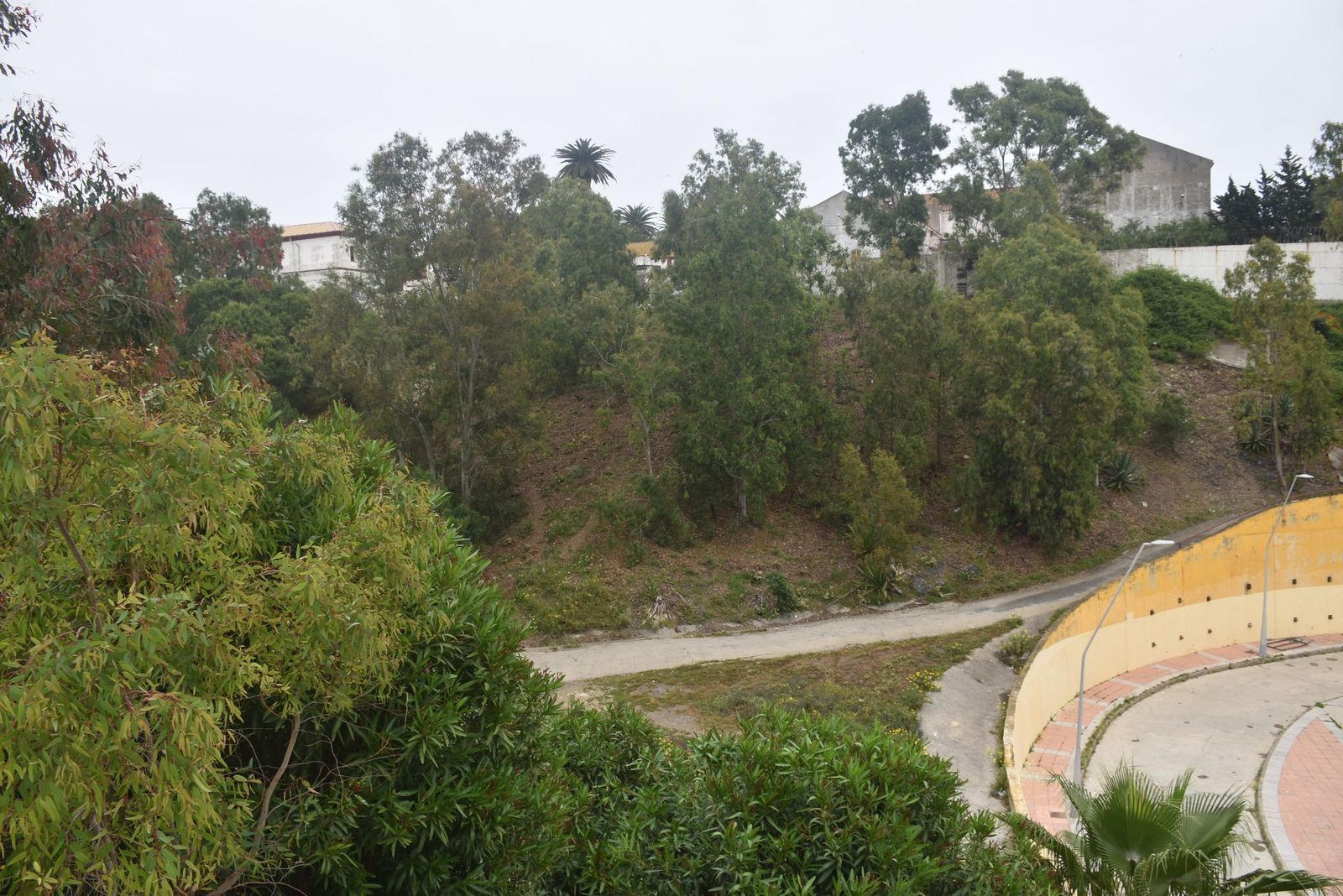 Los vecinos de Miramar Alto denuncian el abandono de una vaguada llena de basura y ratas