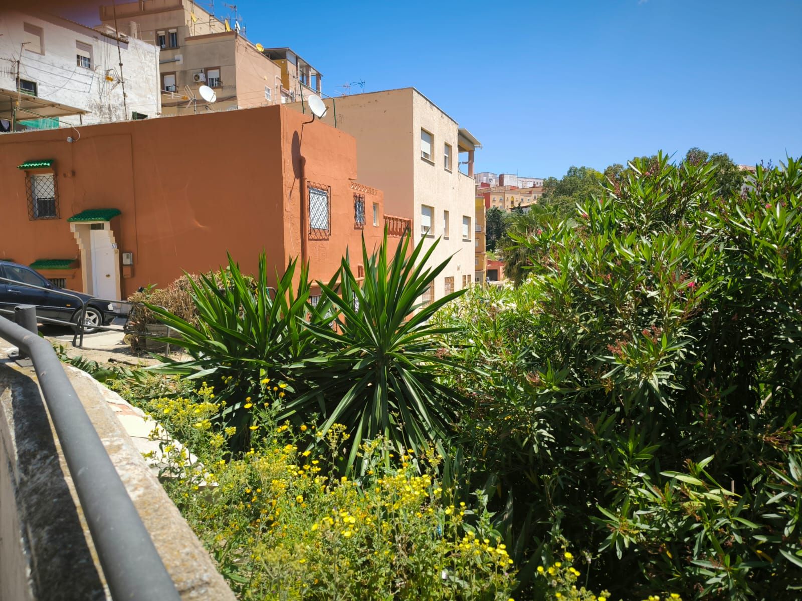 La Ciudad actúa tras las denuncias vecinales y limpia la vaguada de Miramar Alto