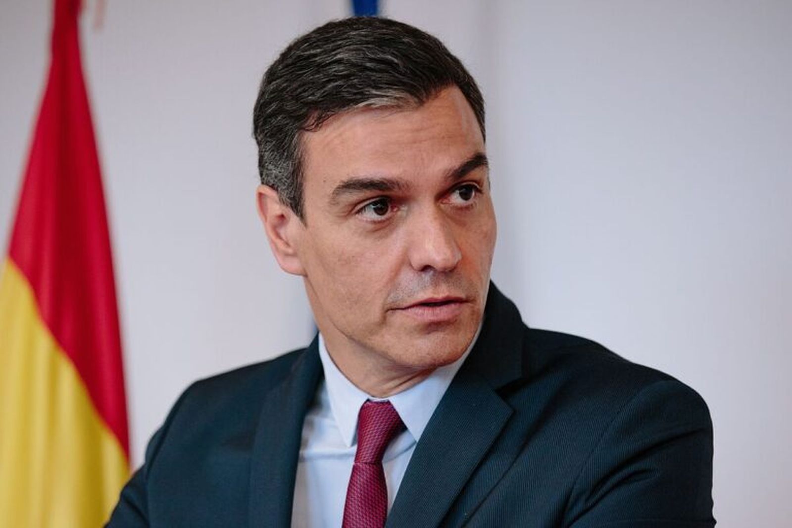 8444_pedro-sanchez