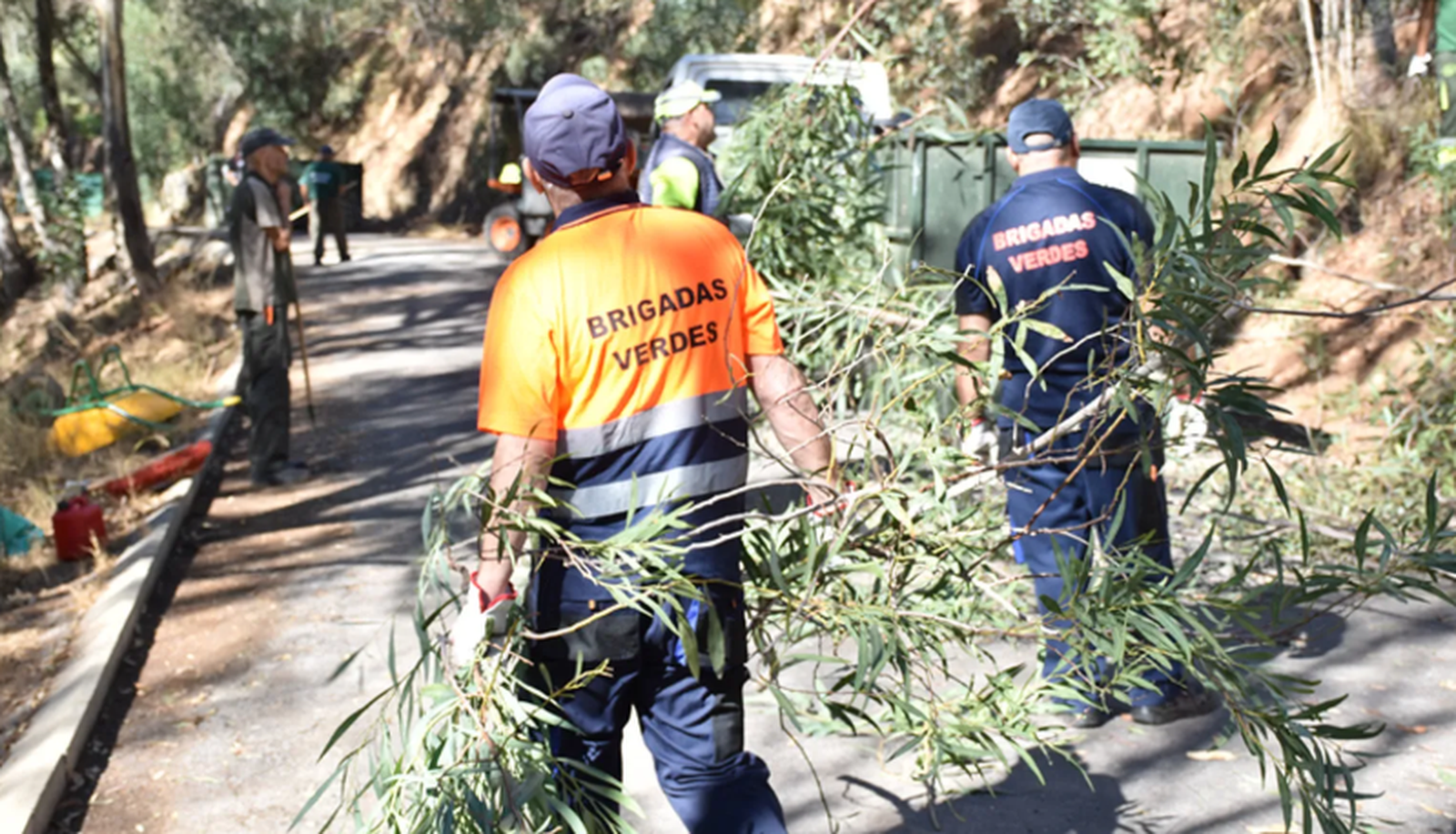El MDyC lamenta la "falta de compromiso" del Gobierno, que aseguró que en 2025 las Brigadas Verdes serían municipalizada El MDyC lamenta la "falta de compromiso" del Gobierno, que aseguró que en 2025 las Brigadas Verdes serían municipalizada